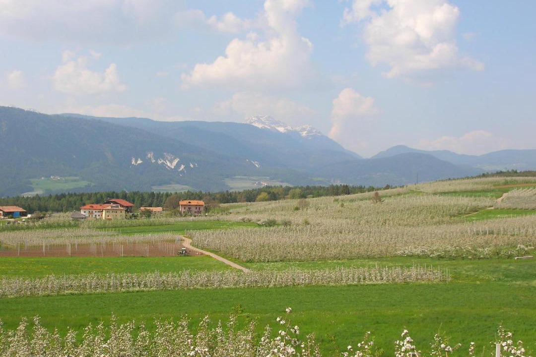 Photo of Outdoor in Romeno