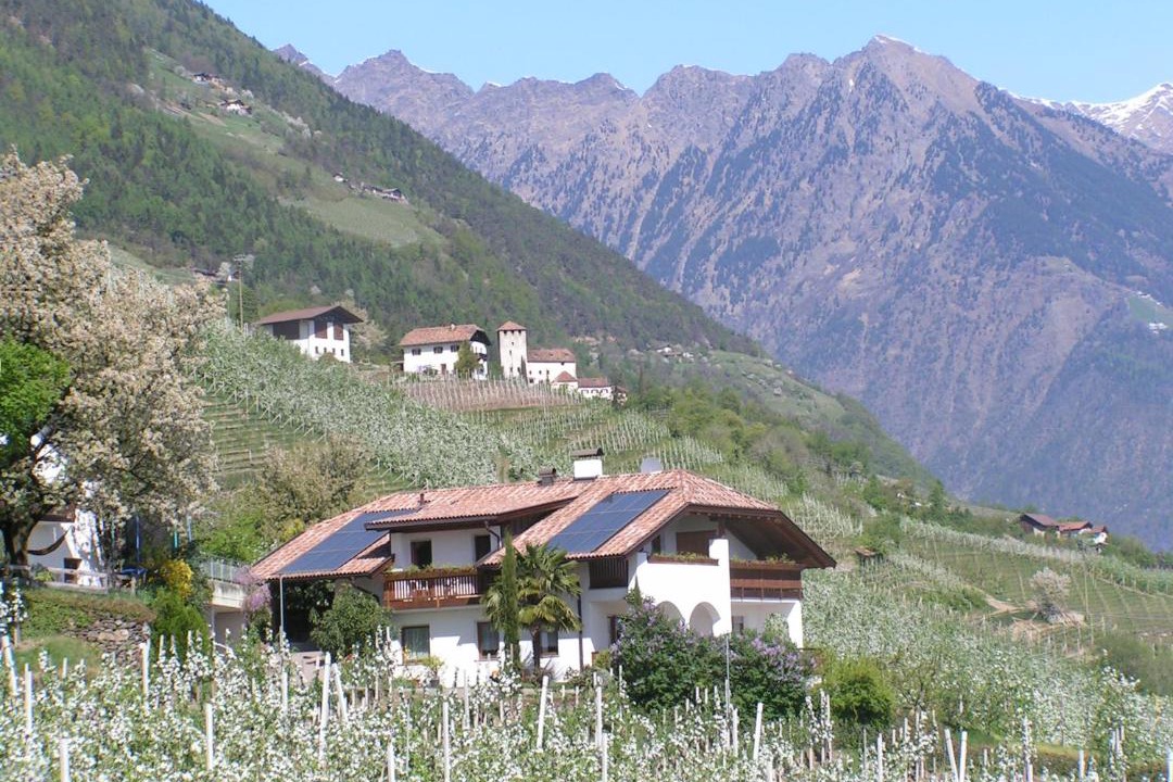 Photo of Others in Cermes