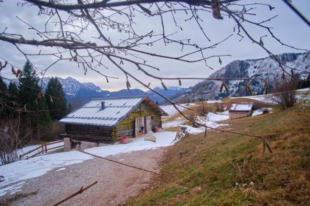 Photo of Others in Primiero San Martino di Castrozza