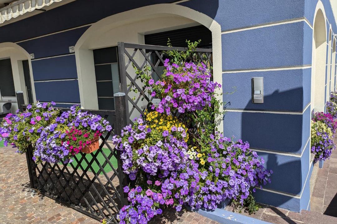 Photo of Patio Balcony in Fai della Paganella