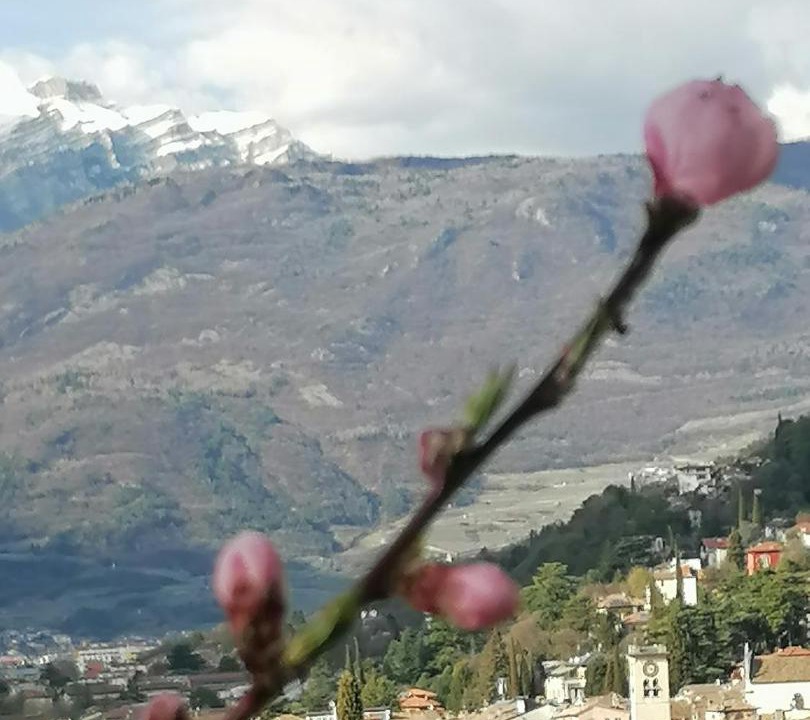 Photo of Others in Rovereto
