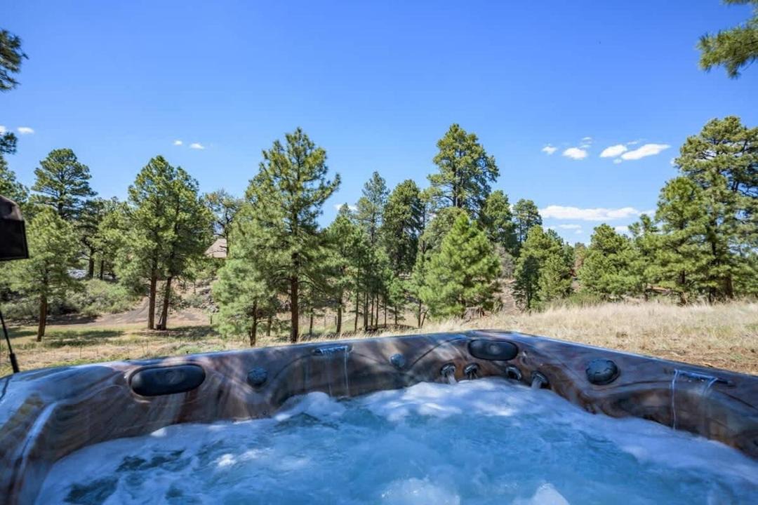 Photo of Others in Flagstaff