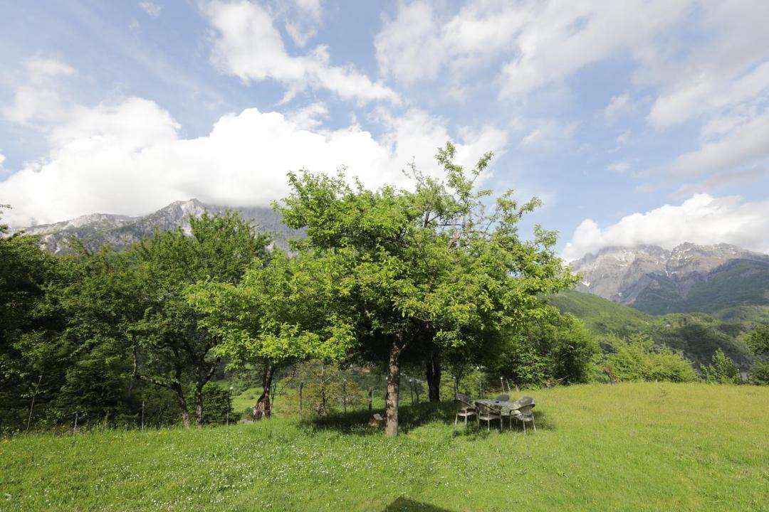 Photo of Others in Shale