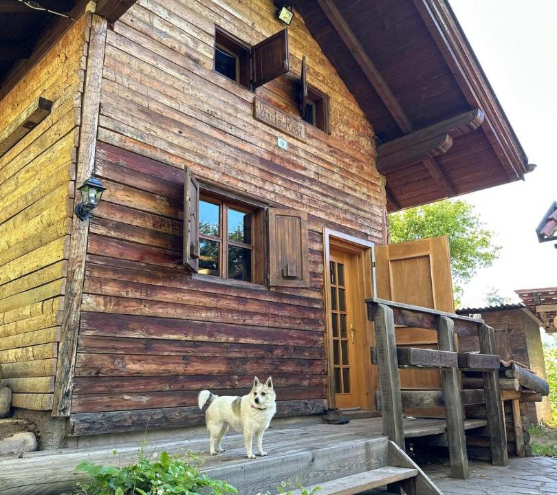 Photo of Others in Pergine Valsugana