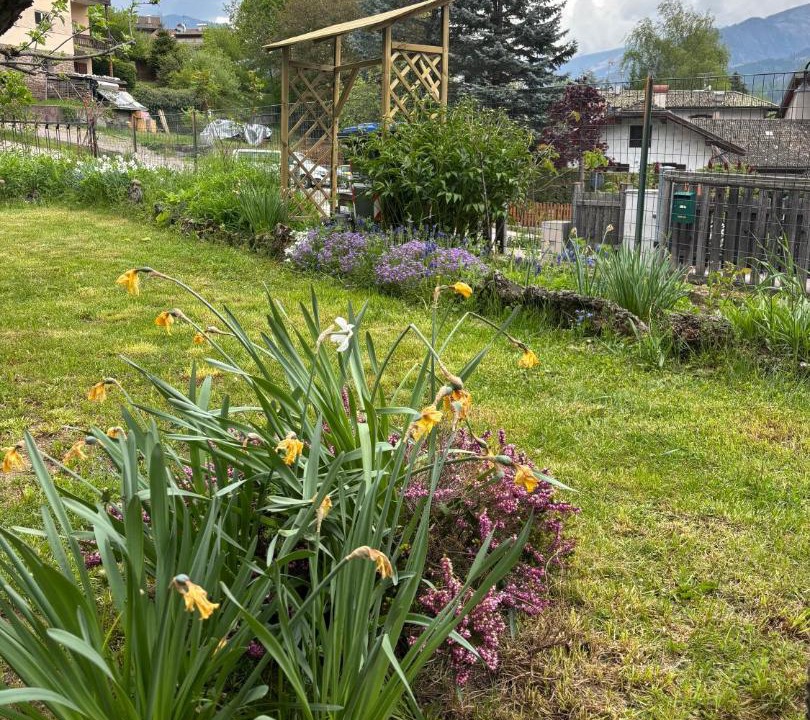 Photo of Outdoor in Castello-Molina di Fiemme