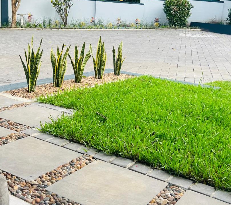 Photo of Outdoor in Empangeni