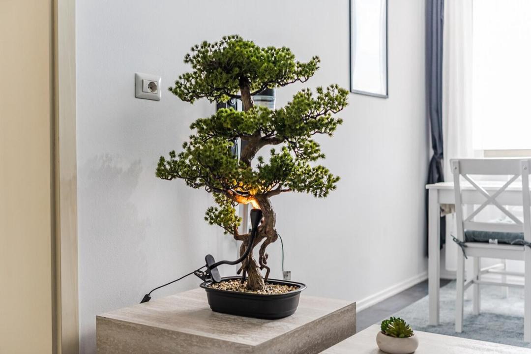 Photo of Others in Shkoder