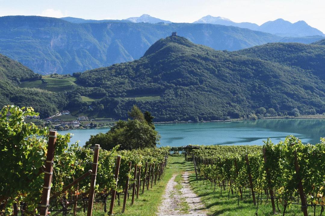 Photo of Others in Termeno Sulla Strada del Vino