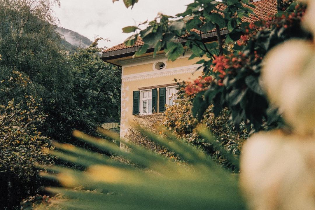 Photo of Others in Lana
