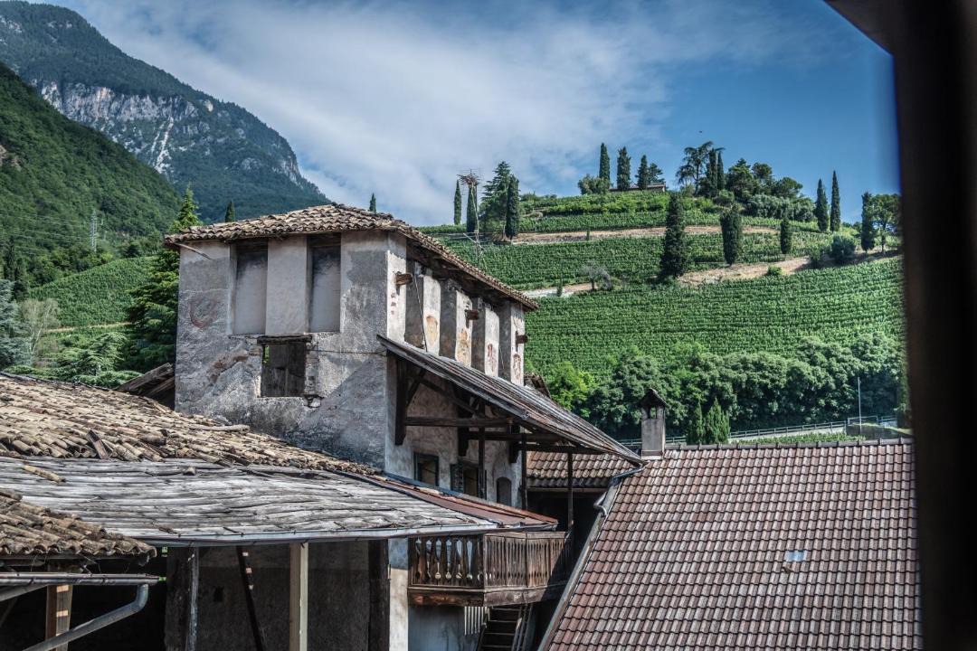 Photo of Others in Termeno Sulla Strada del Vino