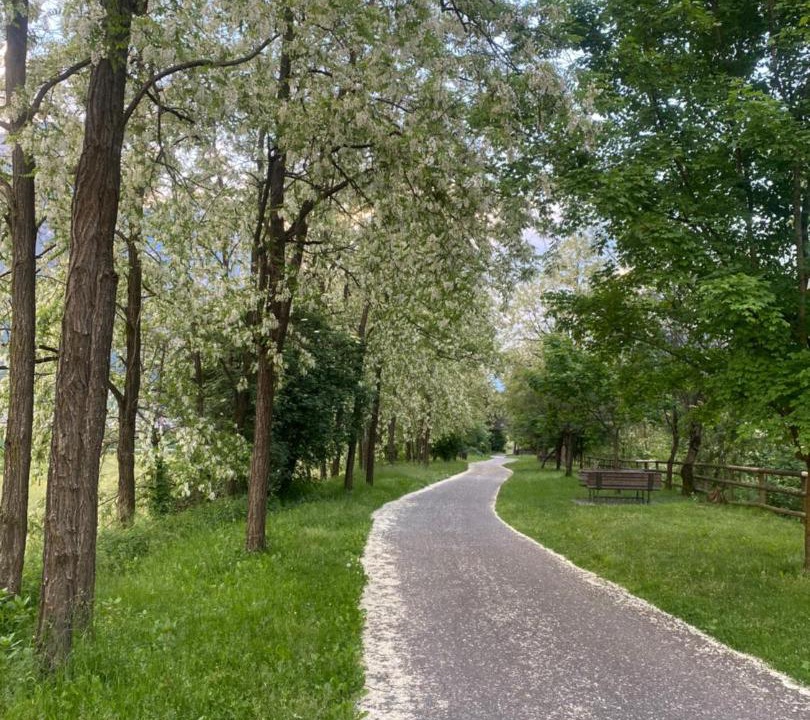 Photo of Outdoor in Ospedaletto