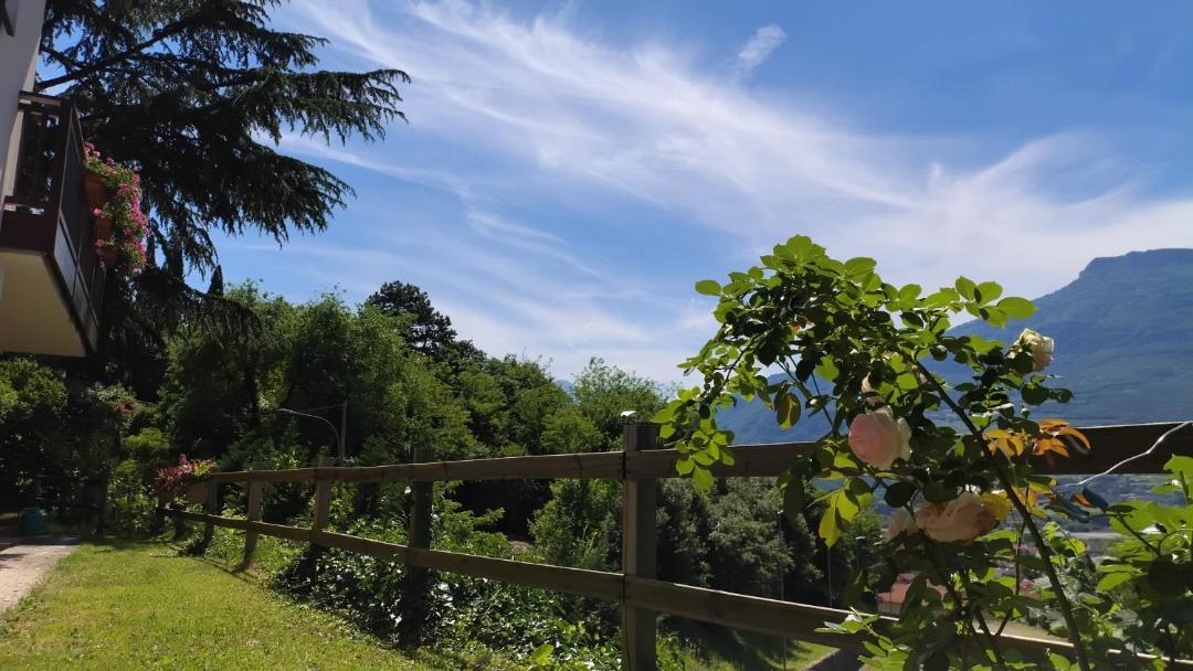 Photo of Others in Rovereto