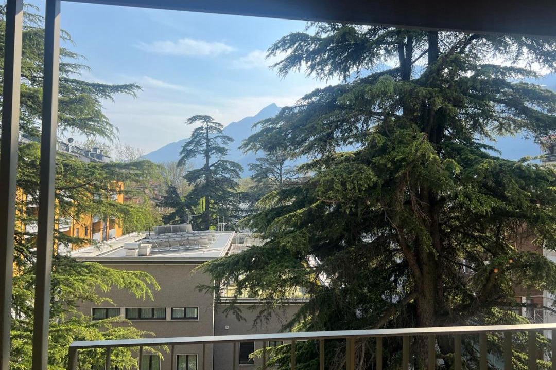 Photo of Others in Trento