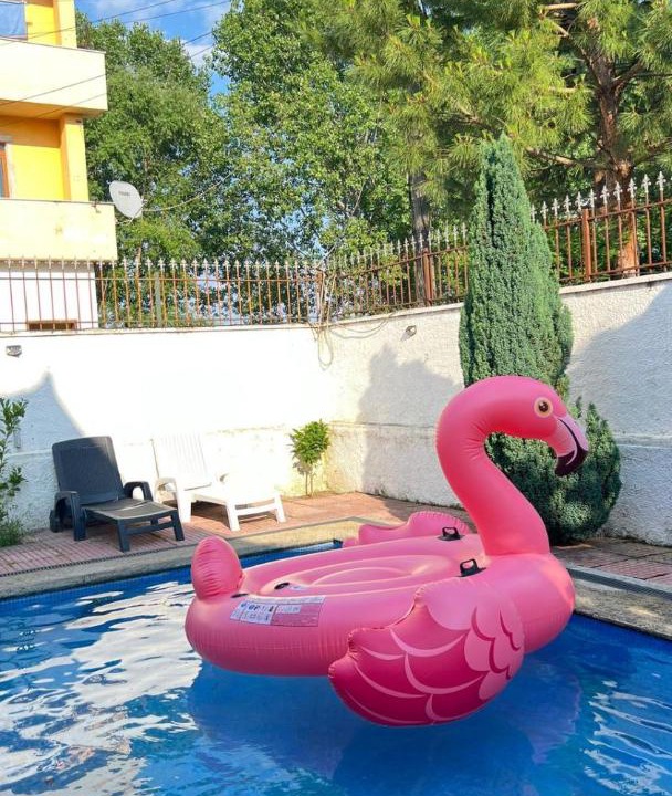 Photo of Others in Shkoder