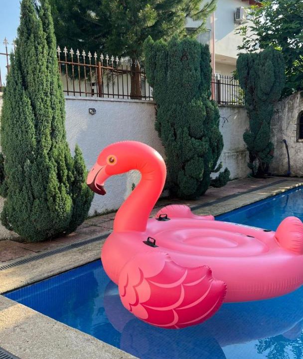 Photo of Others in Shkoder