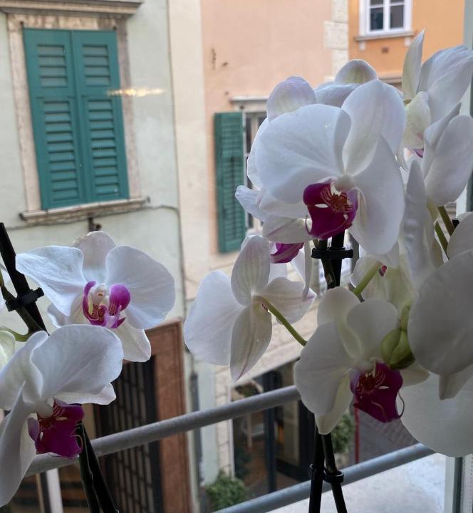 Photo of Patio Balcony in Rovereto