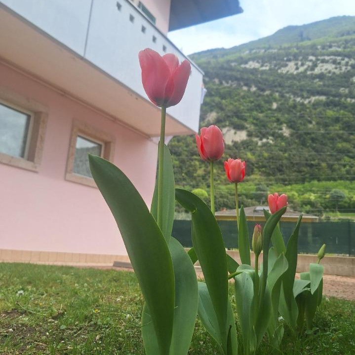 Photo of Others in Padergnone