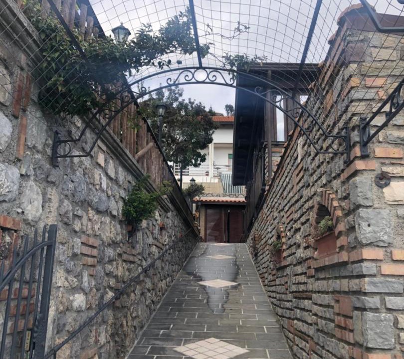 Photo of Others in San Lazzaro