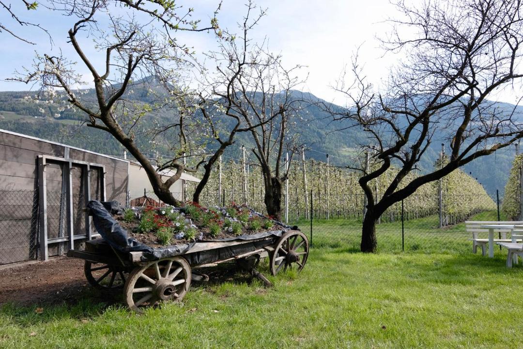 Photo of Others in Castelbello-Ciardes