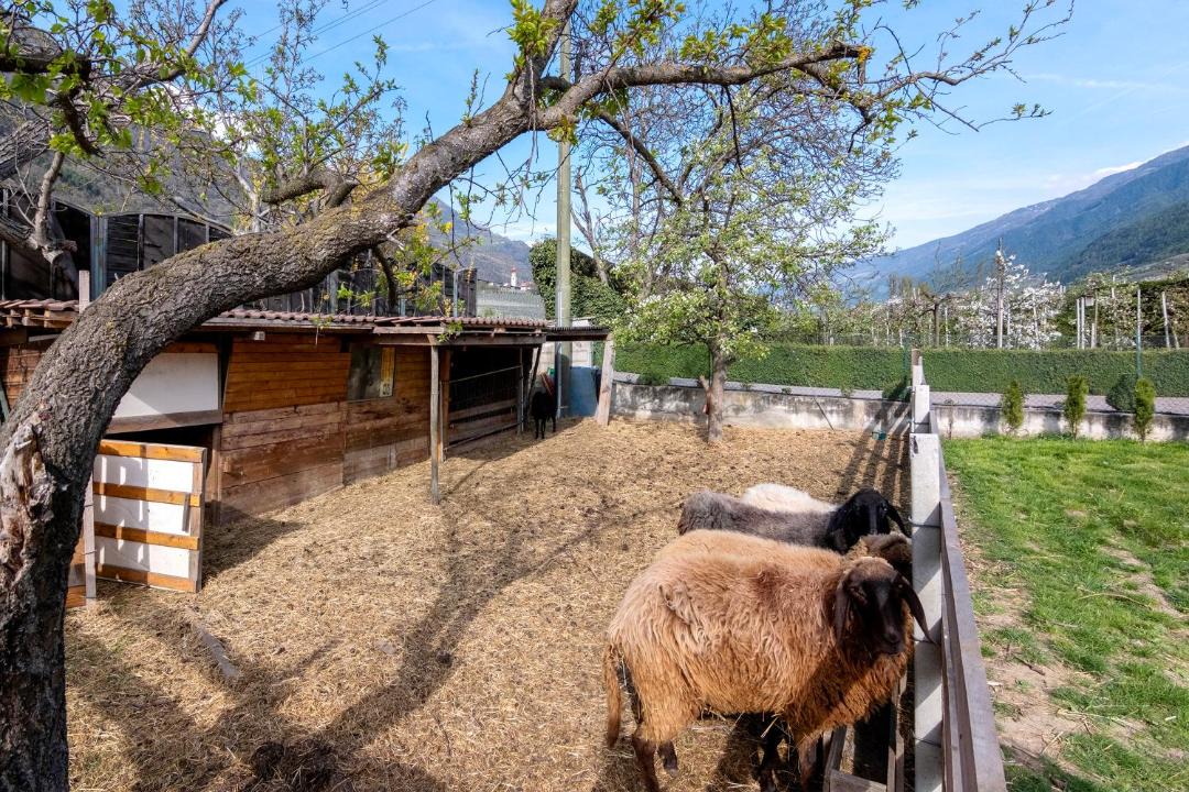 Photo of Others in Castelbello-Ciardes