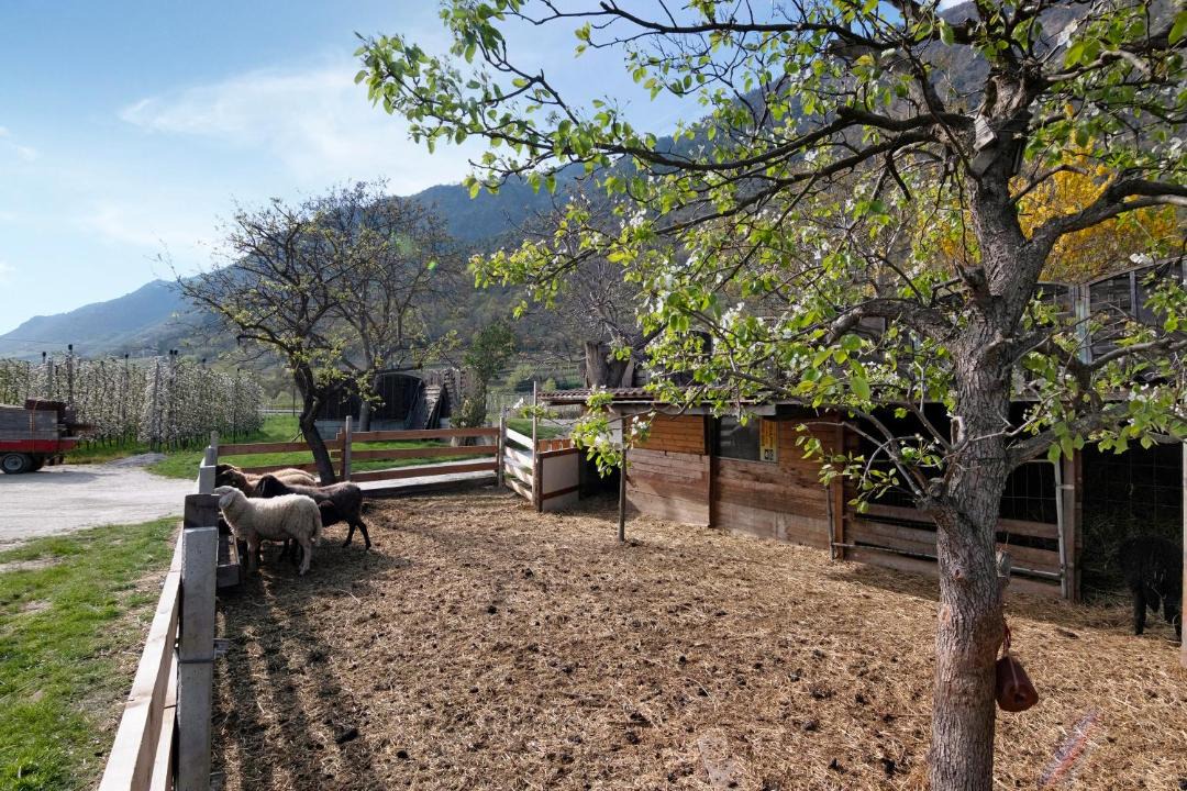 Photo of Outdoor in Castelbello-Ciardes