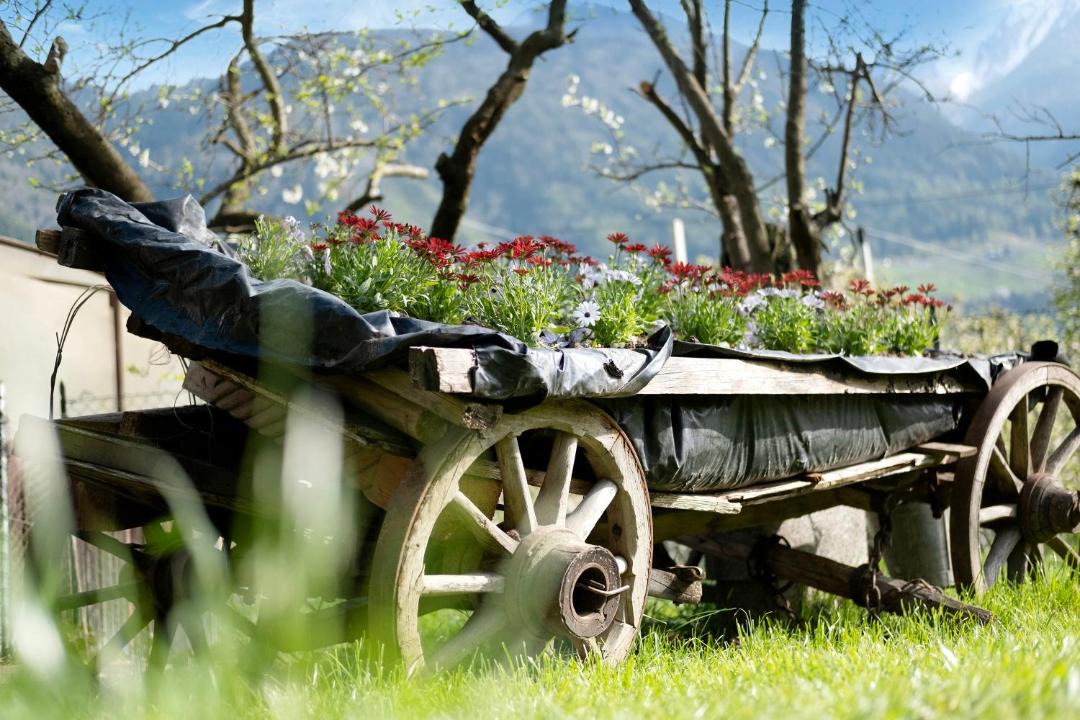 Photo of Others in Castelbello-Ciardes