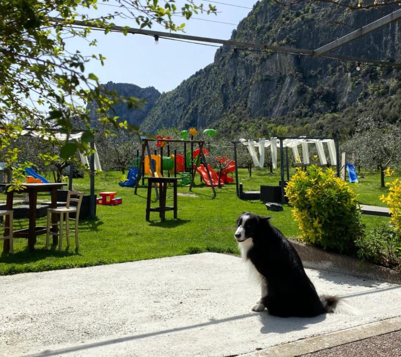 Photo of Outdoor in Arco