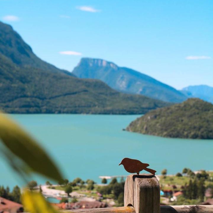Photo of Others in Molveno