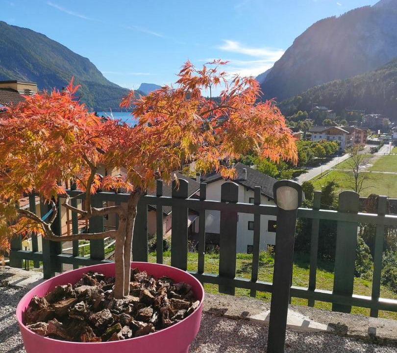Photo of Others in Molveno