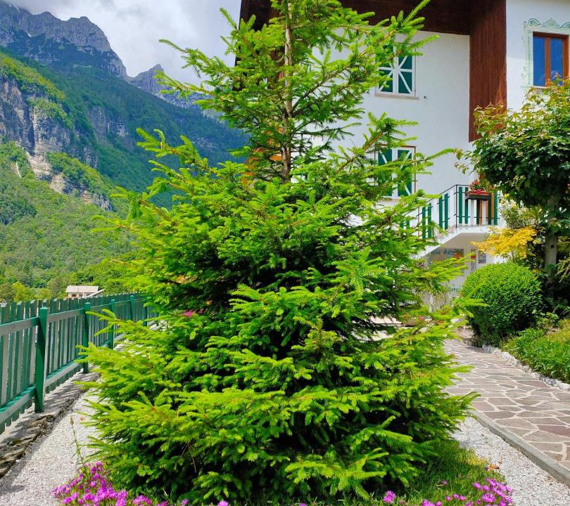 Photo of Others in Molveno