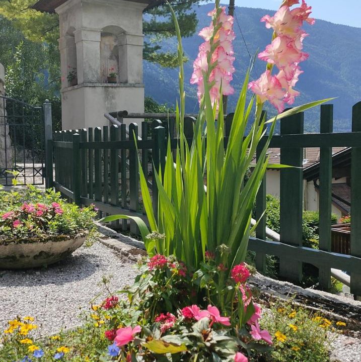 Photo of Others in Molveno