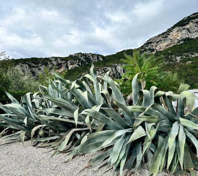 Photo of Outdoor in Nago-Torbole