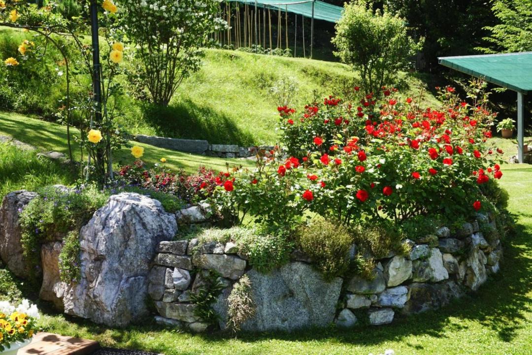 Photo of Outdoor in Bolognano-Vignole