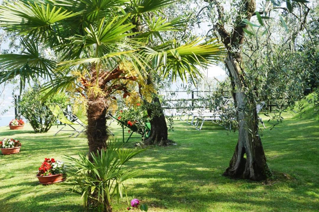 Photo of Others in Bolognano-Vignole