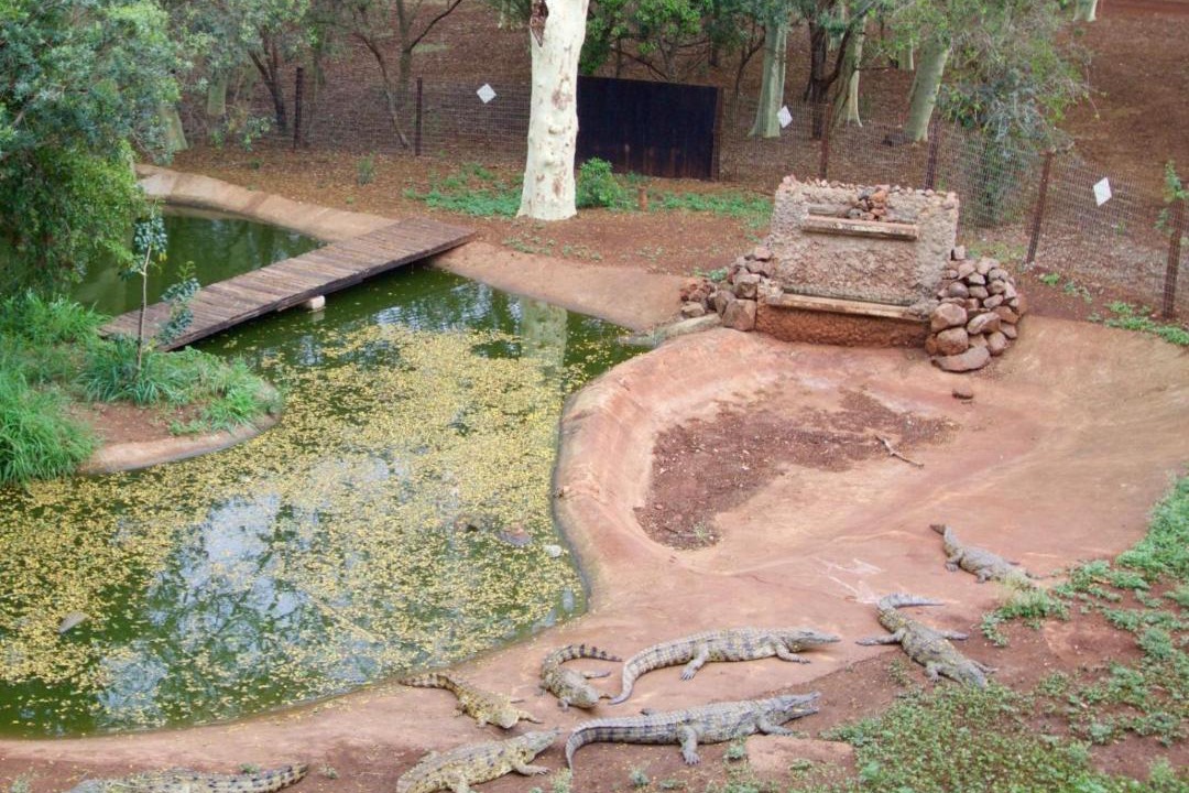 Photo of Others in Hluhluwe