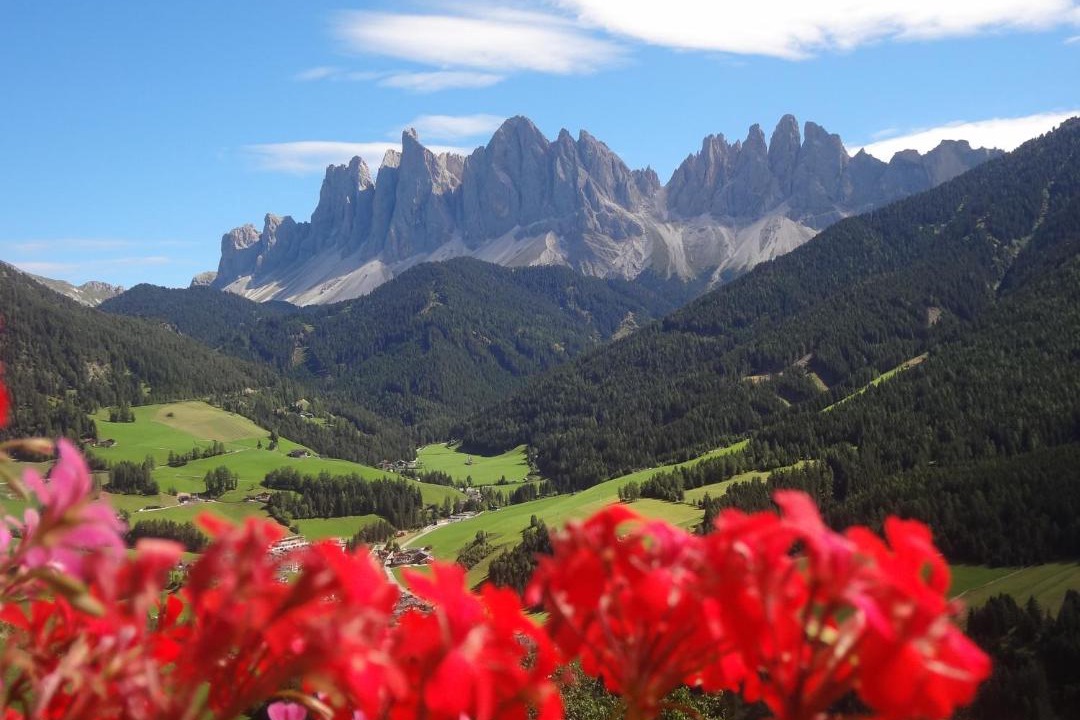 Photo of Others in Funes