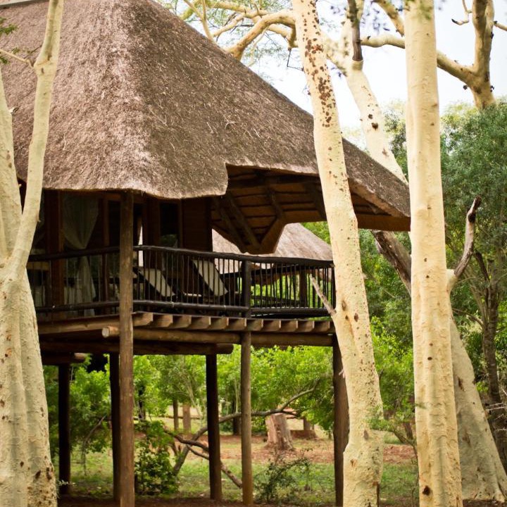 Photo of Others in Hluhluwe