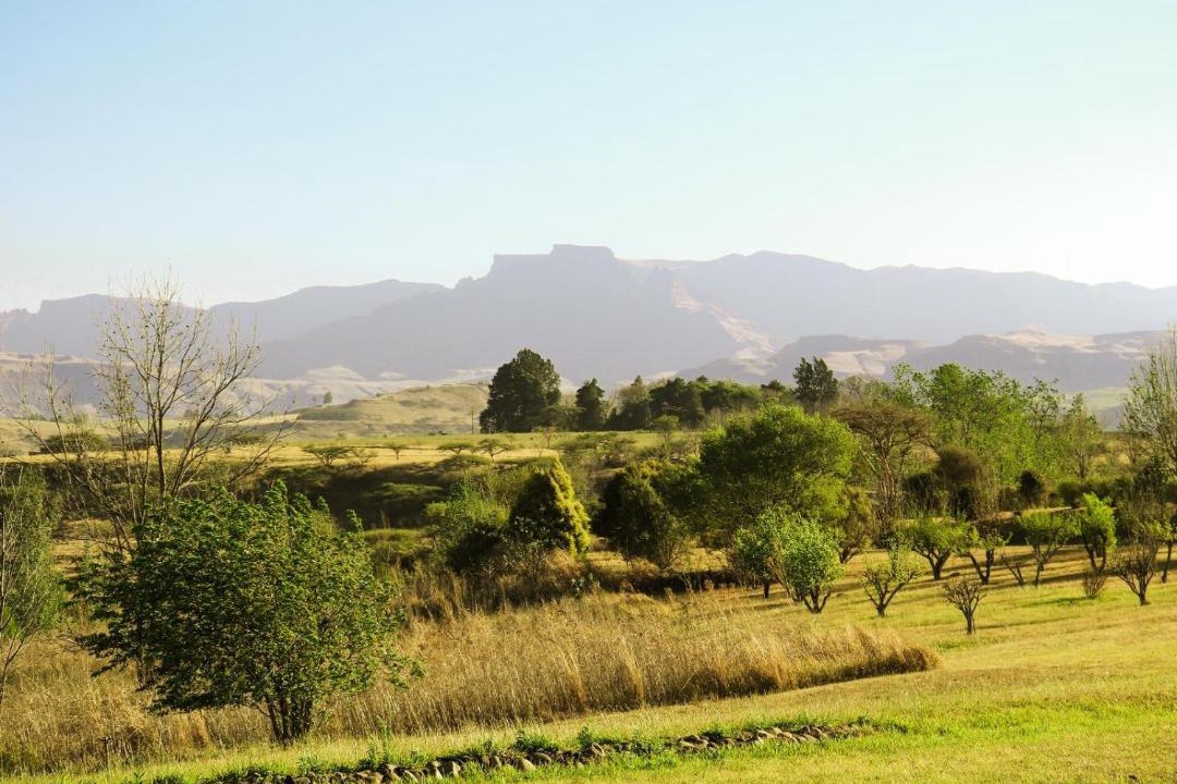 Photo of Others in Okhahlamba