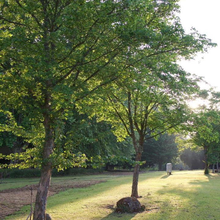 Photo of Others in Cathkin Park