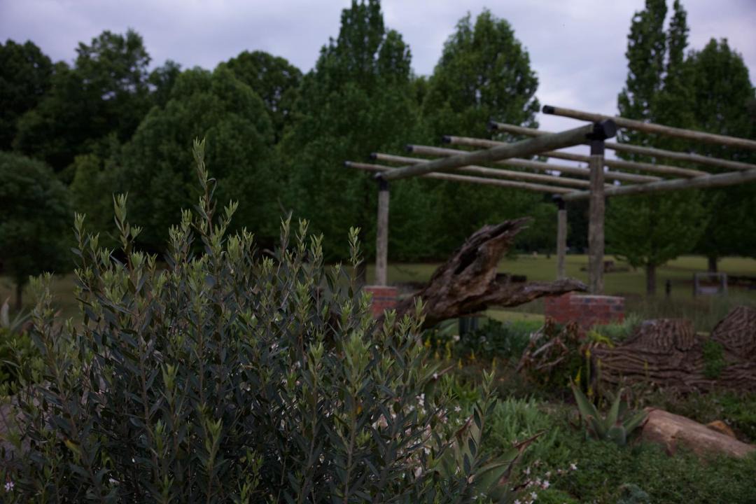 Photo of Others in Cathkin Park