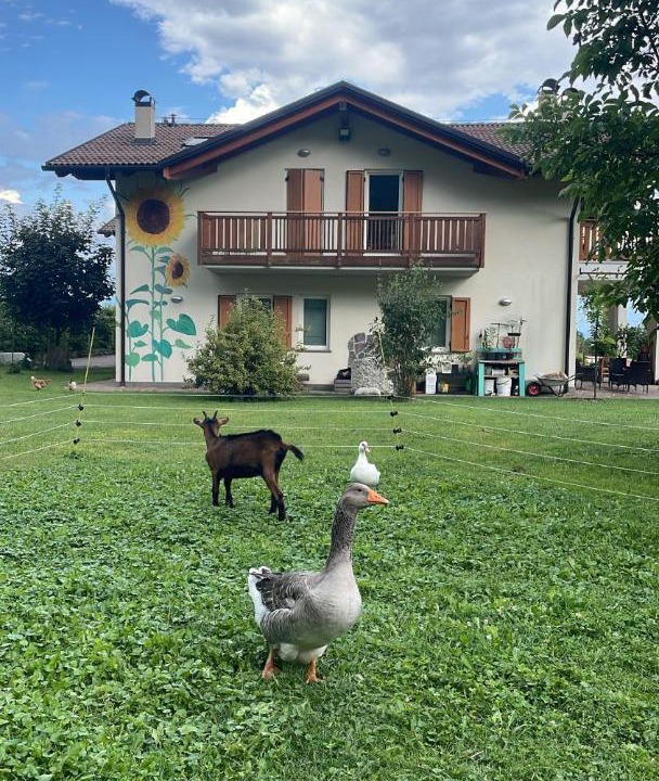 Photo of Others in Fai della Paganella