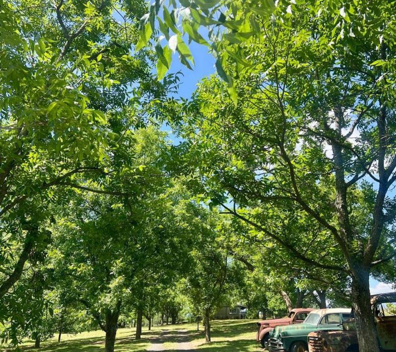 Photo of Outdoor in Okhahlamba
