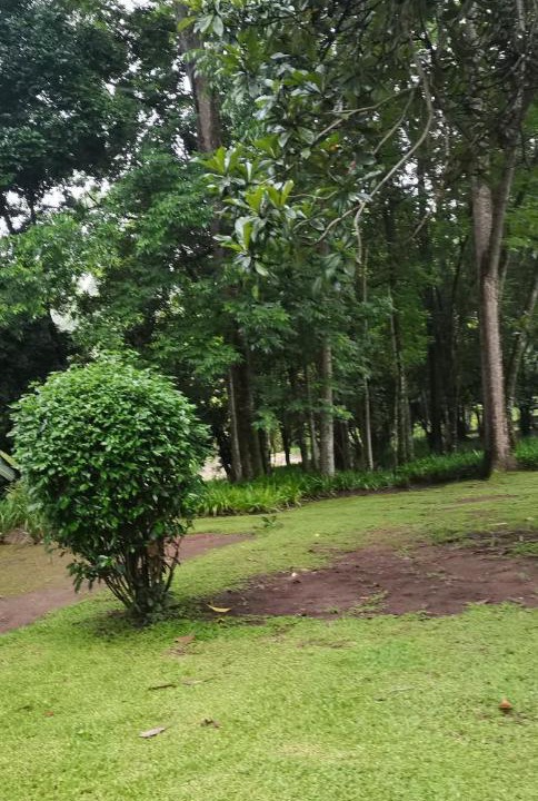 Photo of Outdoor in Assagay