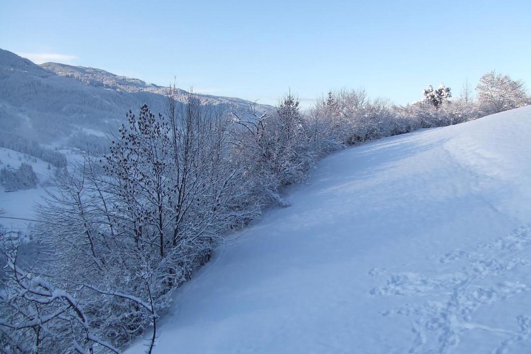 Photo of Outdoor in Tesero