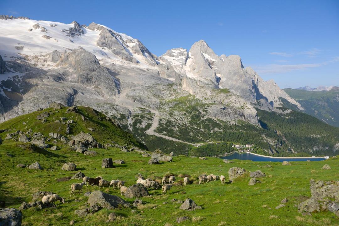 Photo of Outdoor in Moena