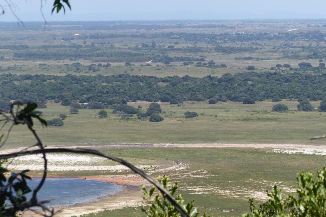 Photo of Others in Sodwana Bay