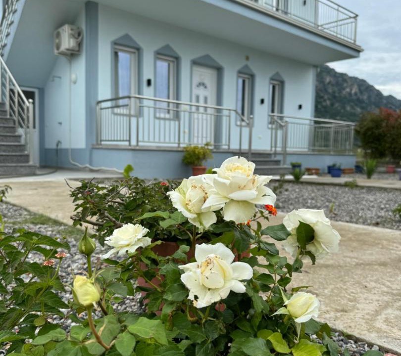 Photo of Others in Velipoje