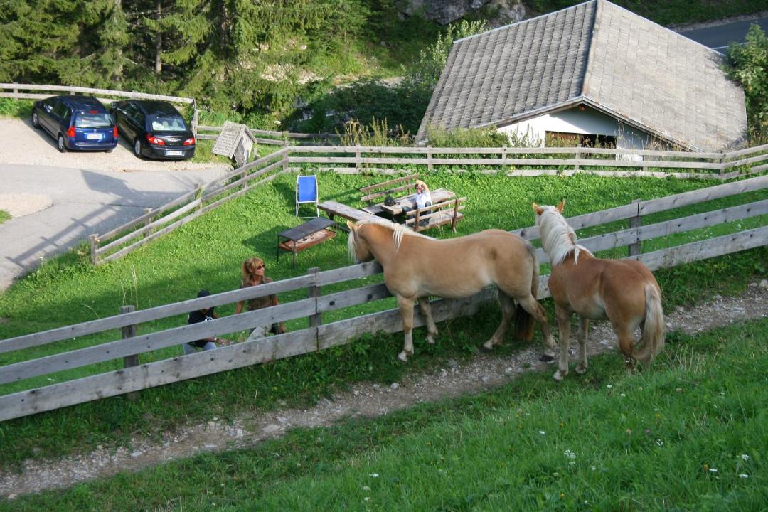 Photo of Others in San Vito