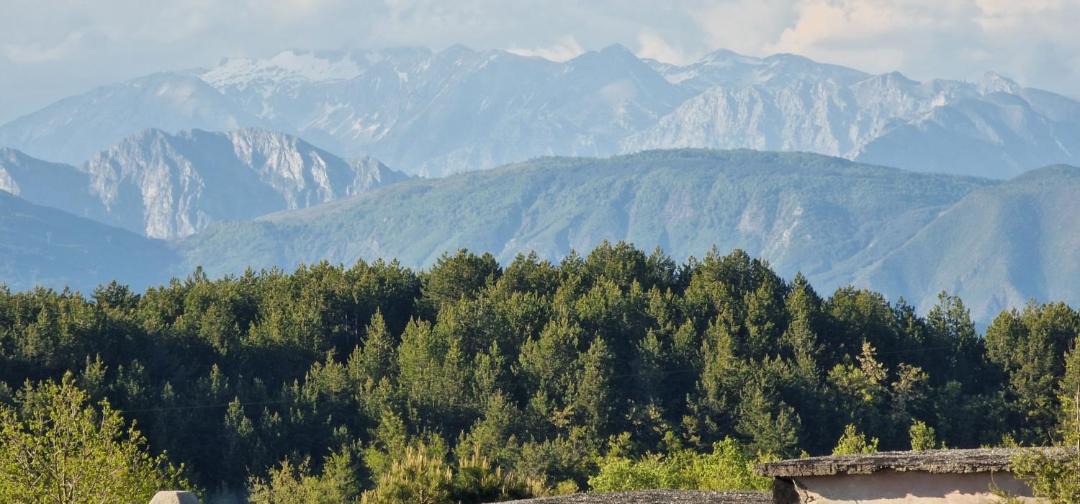 Photo of Others in Puke