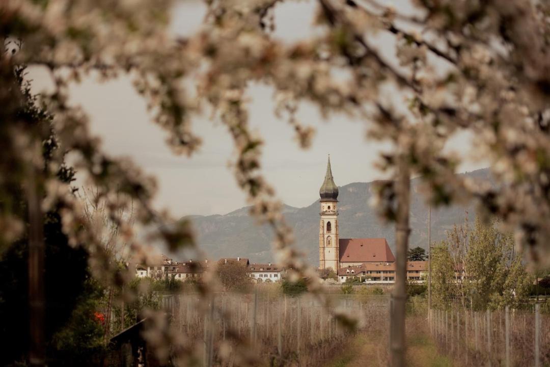 Photo of Others in Appiano Sulla Strada del Vino
